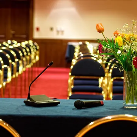 法赖宫殿酒店 4*