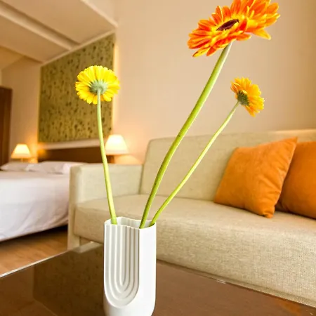 酒店 法赖宫殿酒店 卡拉马塔